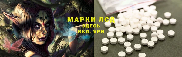 ГАЛЛЮЦИНОГЕННЫЕ ГРИБЫ Алексеевка