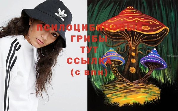 ГАЛЛЮЦИНОГЕННЫЕ ГРИБЫ Алексеевка