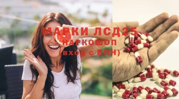 ГАЛЛЮЦИНОГЕННЫЕ ГРИБЫ Алексеевка